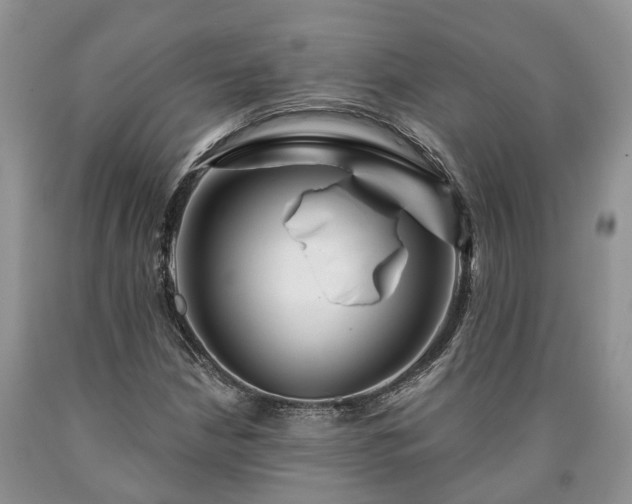 X0000090611210200707241059