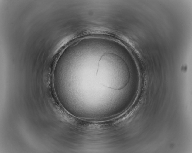 X0000090611211200707241059