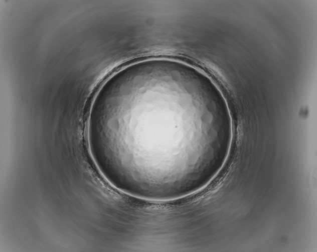 X0000090611212200707241059