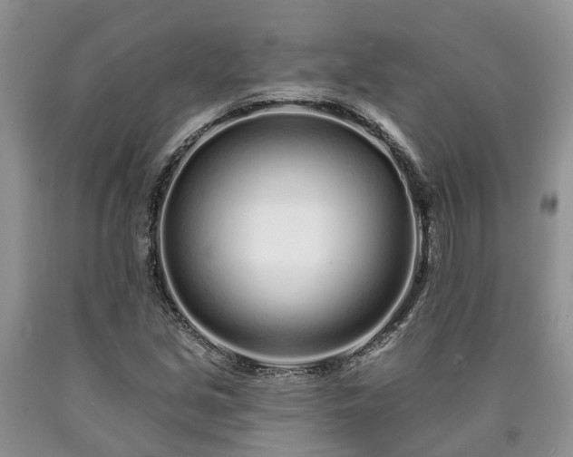 X0000090611213200707241059