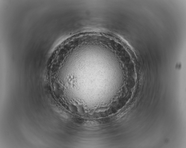 X0000090611215200707241059