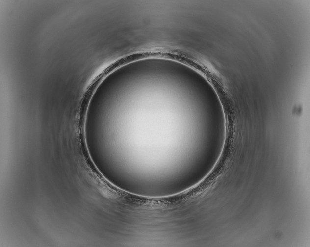 X0000090611216200707241059