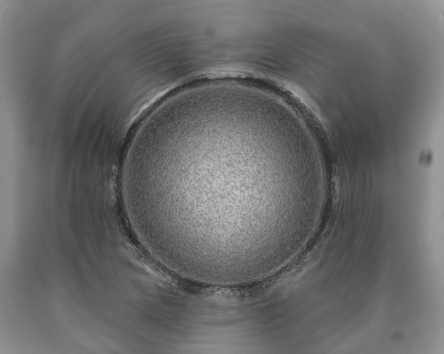 X0000090611217200707241059