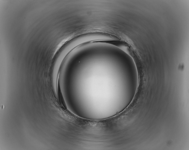 X0000090611218200707241059