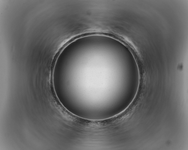 X0000090611220200707241059