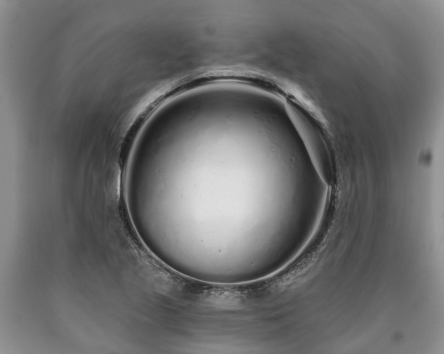 X0000090611221200707241059