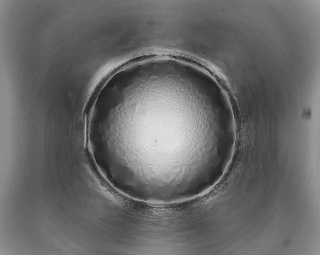 X0000090611223200707241059