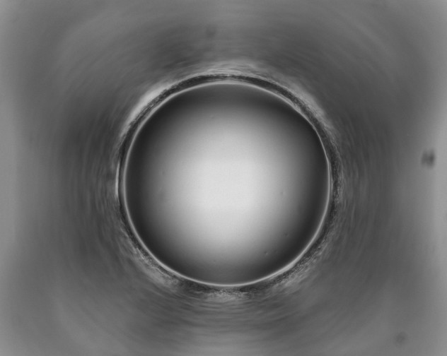 X0000090611224200707241059