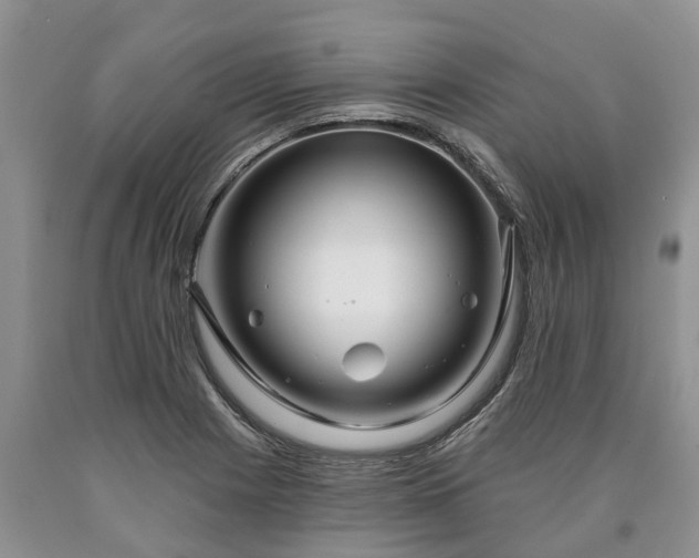 X0000090611225200707241059