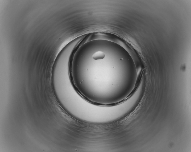 X0000090611226200707241059