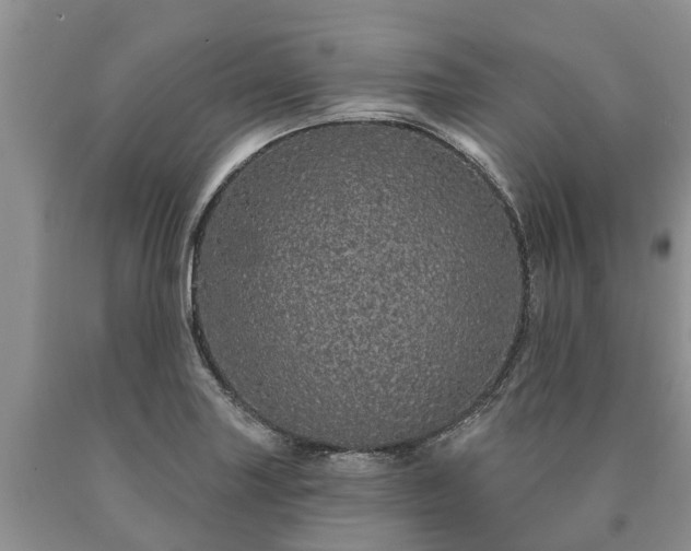 X0000090611227200707241059