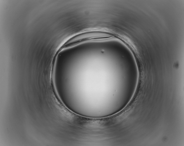 X0000090611228200707241059