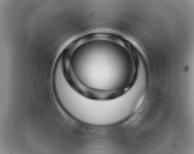 X0000090611229200707241059