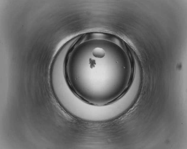 X0000090611230200707241059