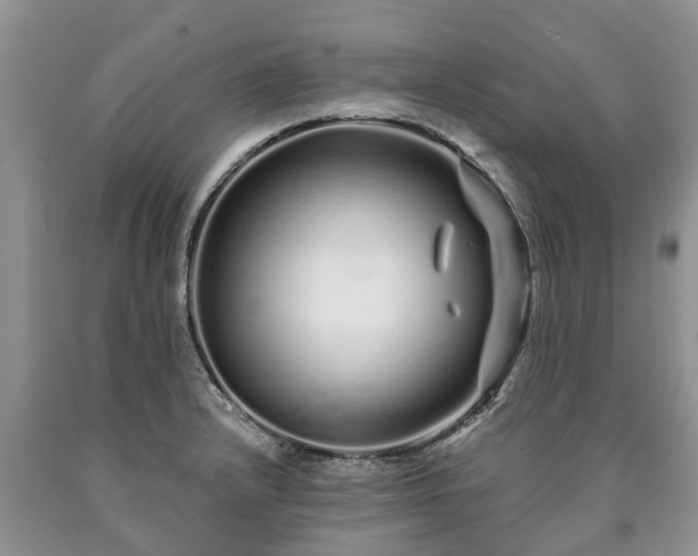 X0000090611232200707241059