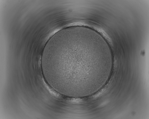 X0000090611233200707241059