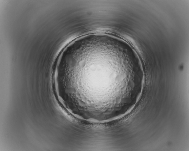 X0000090611235200707241059