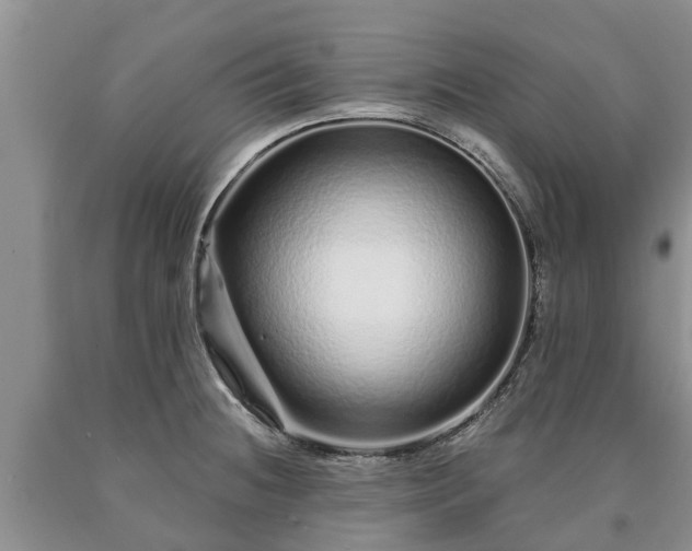 X0000090611236200707241059