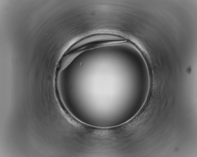 X0000090611237200707241059