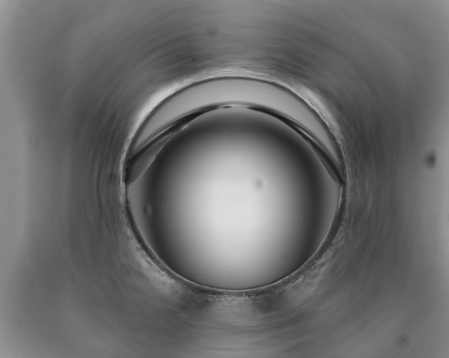 X0000090611238200707241059