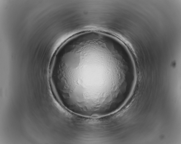 X0000090611239200707241059