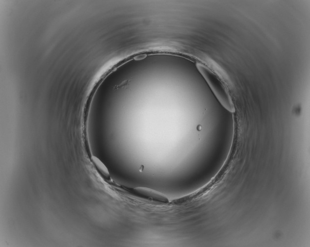 X0000090611240200707241059