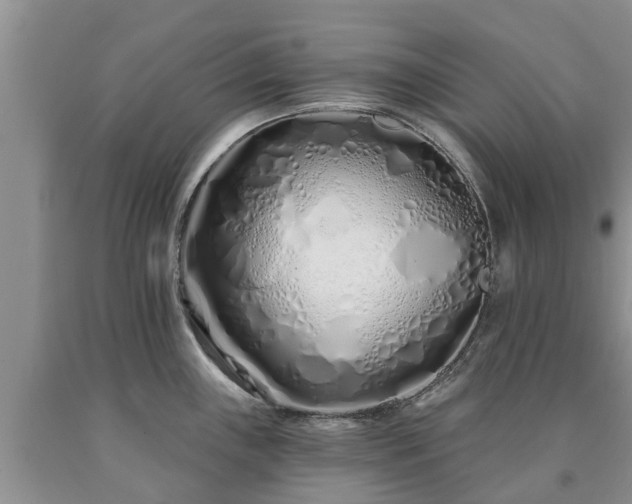 X0000090611243200707241059