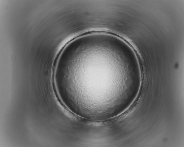 X0000090611245200707241059