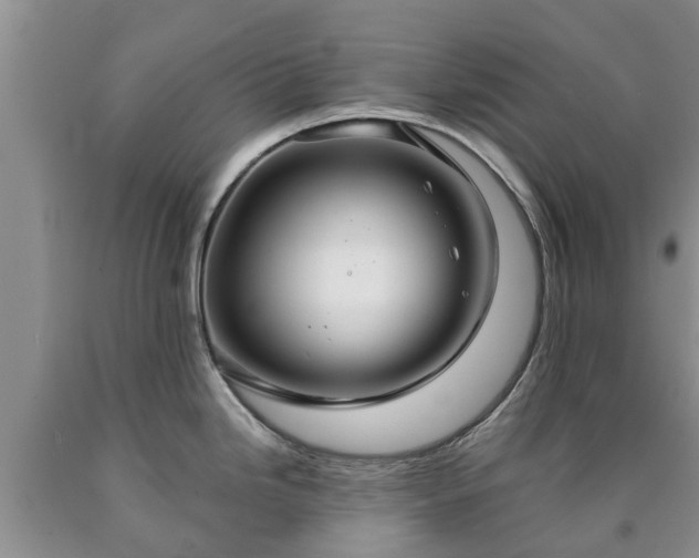 X0000090611246200707241059