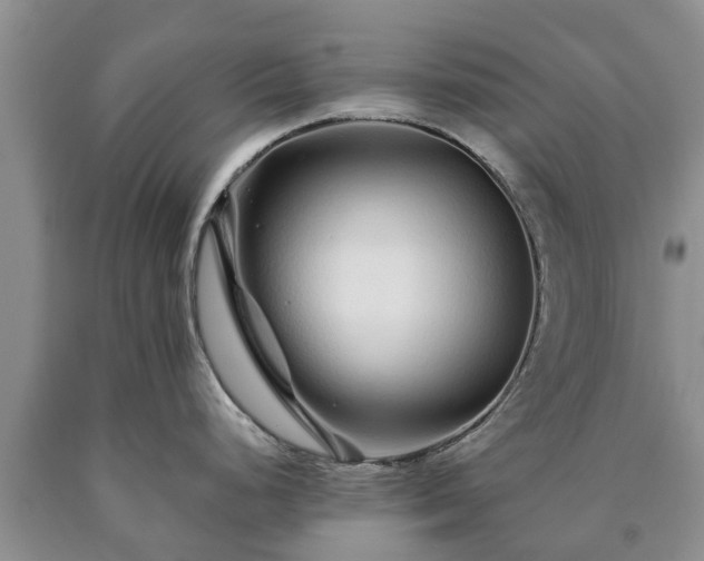 X0000090611248200707241059