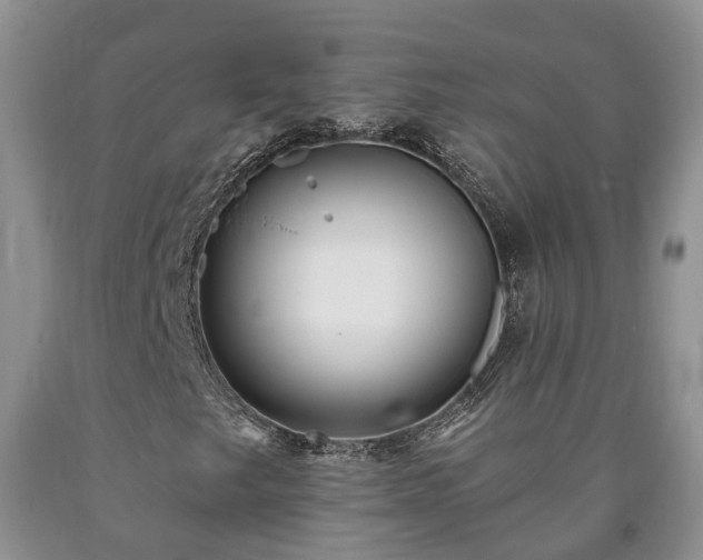 X0000090611249200707241059