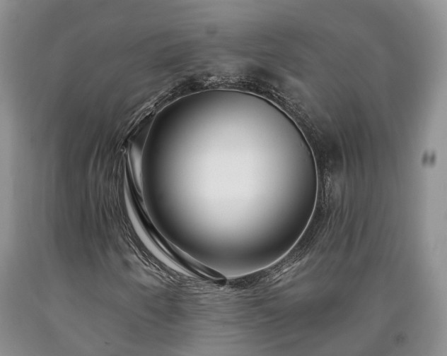 X0000090611250200707241059