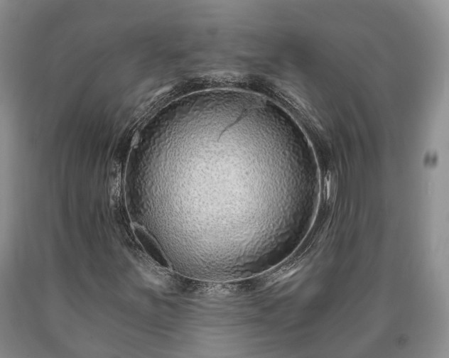 X0000090611251200707241059