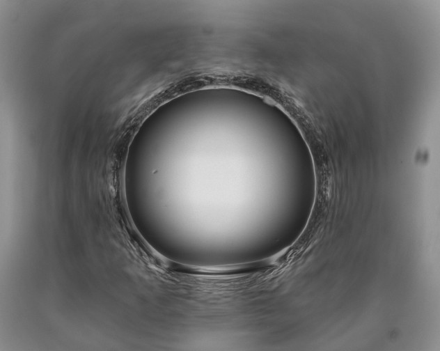 X0000090611253200707241059