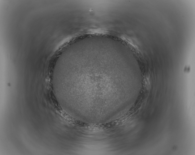 X0000090611254200707241059