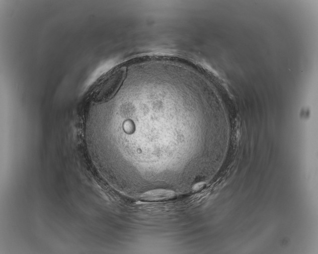 X0000090611255200707241059