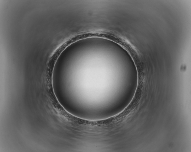 X0000090611256200707241059