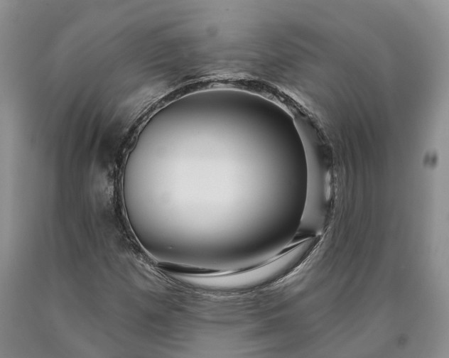 X0000090611257200707241059