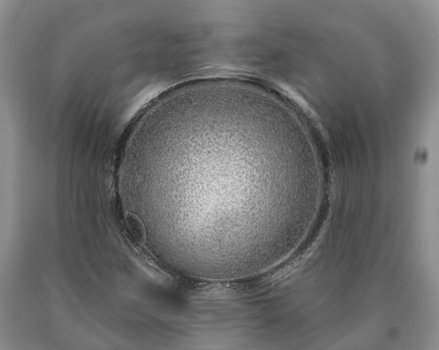 X0000090611259200707241059