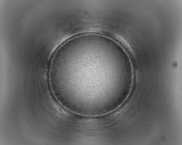 X0000090611260200707241059