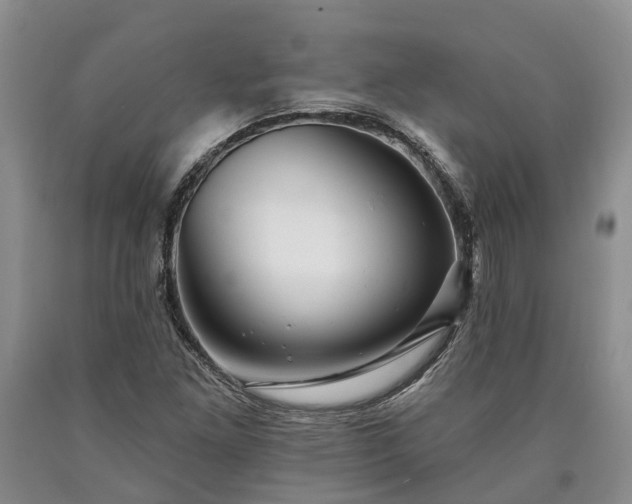 X0000090611261200707241059