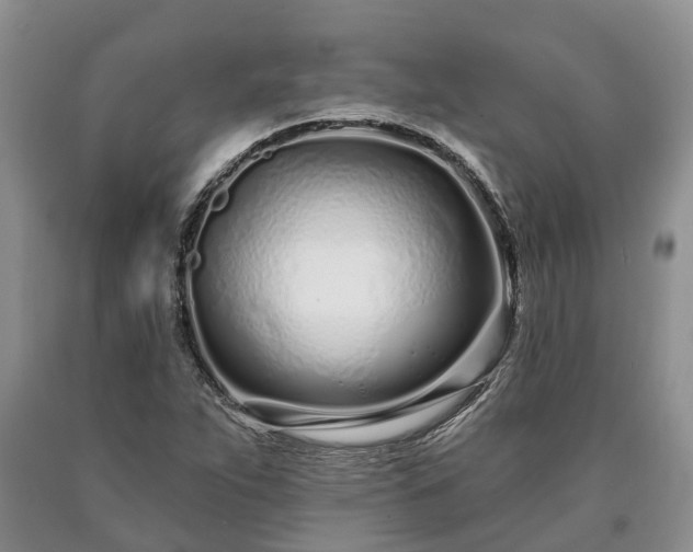 X0000090611263200707241058