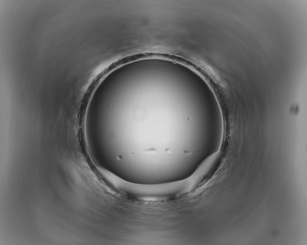 X0000090611264200707241058