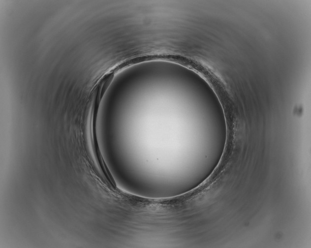 X0000090611265200707241058