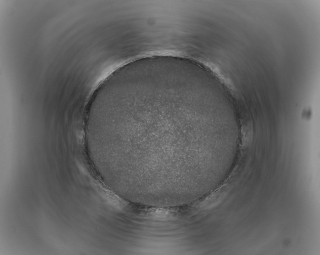 X0000090611266200707241058