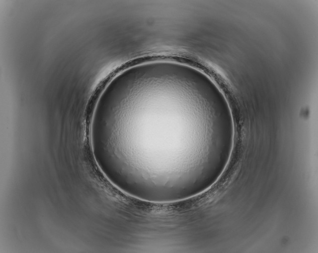 X0000090611267200707241058