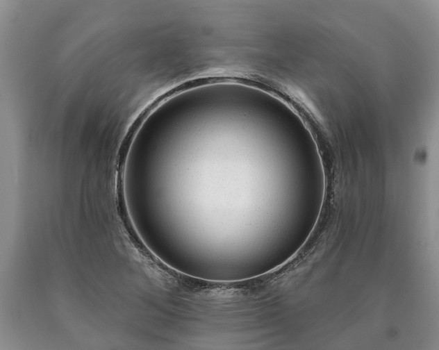 X0000090611268200707241058