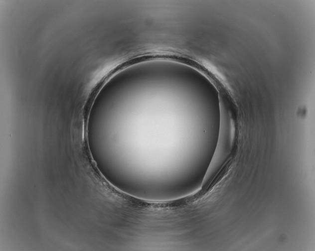 X0000090611269200707241058