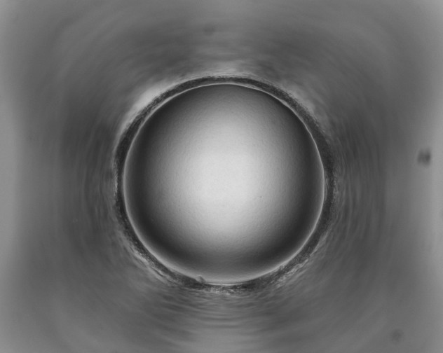 X0000090611270200707241058