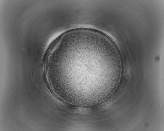 X0000090611271200707241058